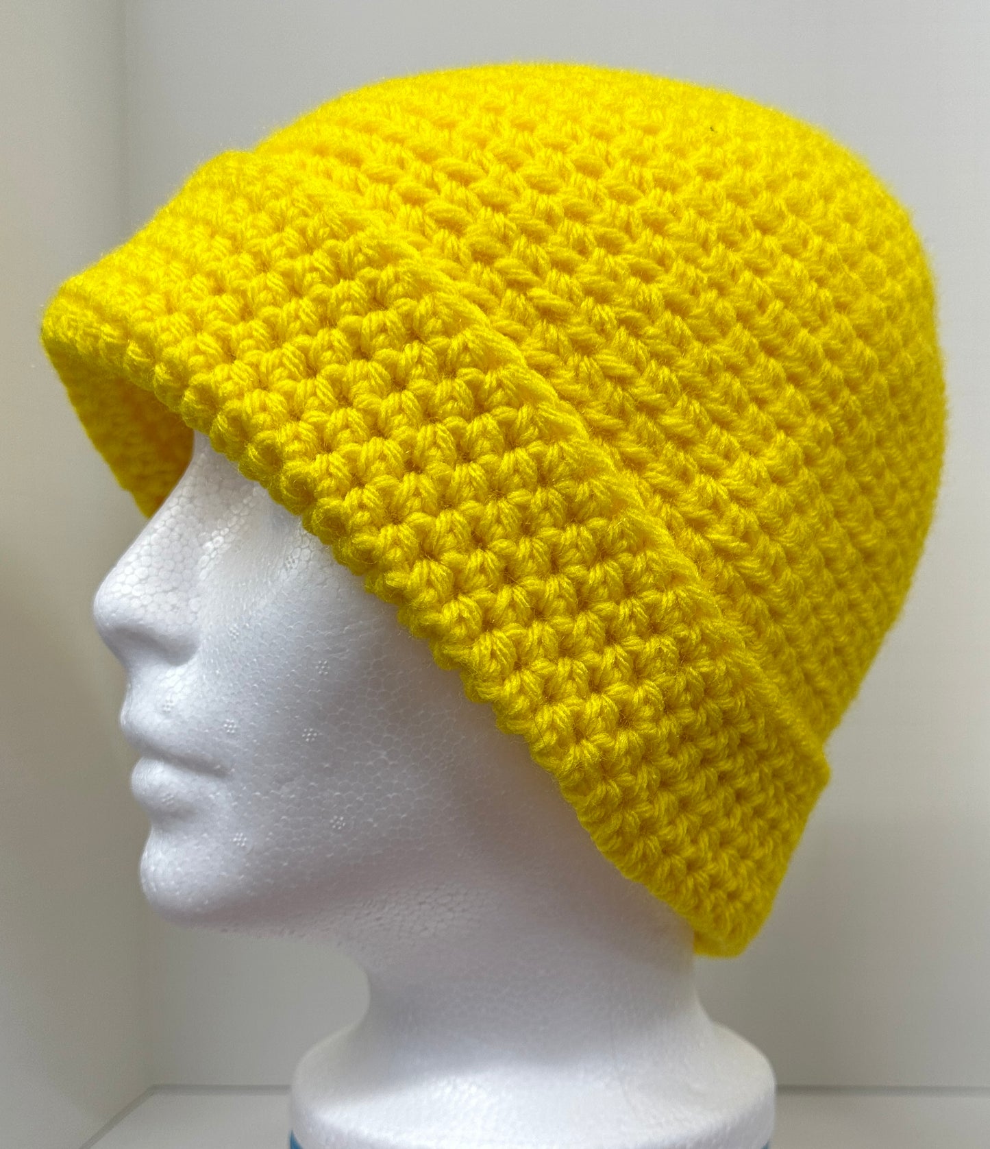 Toboggan Crochet Beanie